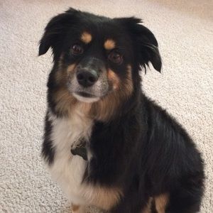 Meet your Posher, Kendra